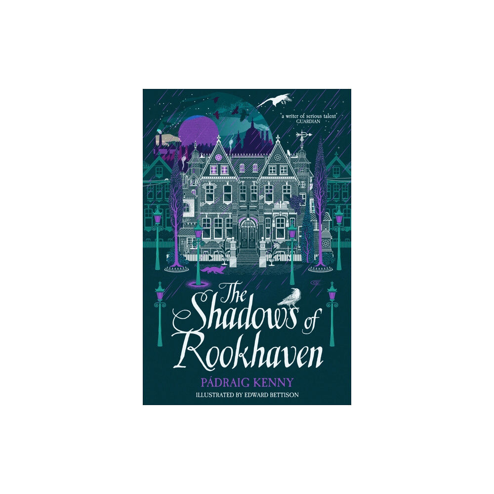 Pan Macmillan The Shadows of Rookhaven (häftad, eng)