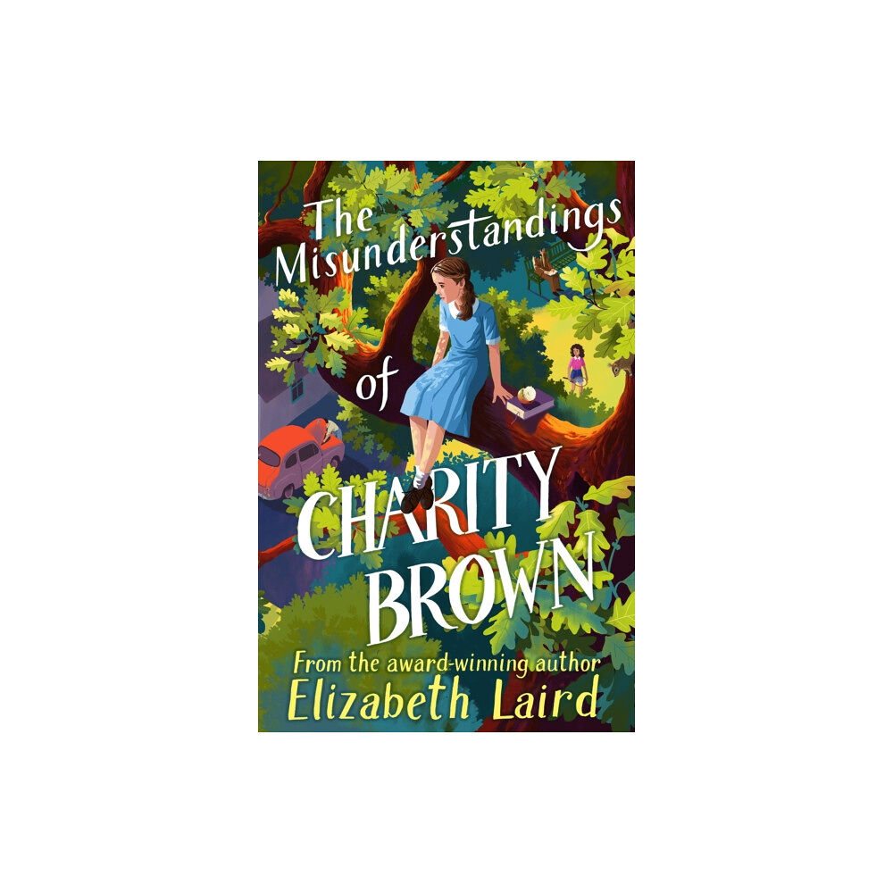 Pan Macmillan The Misunderstandings of Charity Brown (häftad, eng)