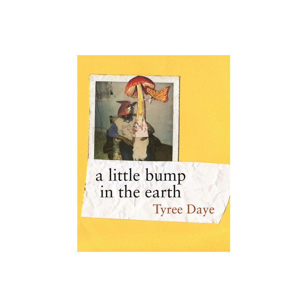 Copper Canyon Press,U.S. a little bump in the earth (häftad, eng)