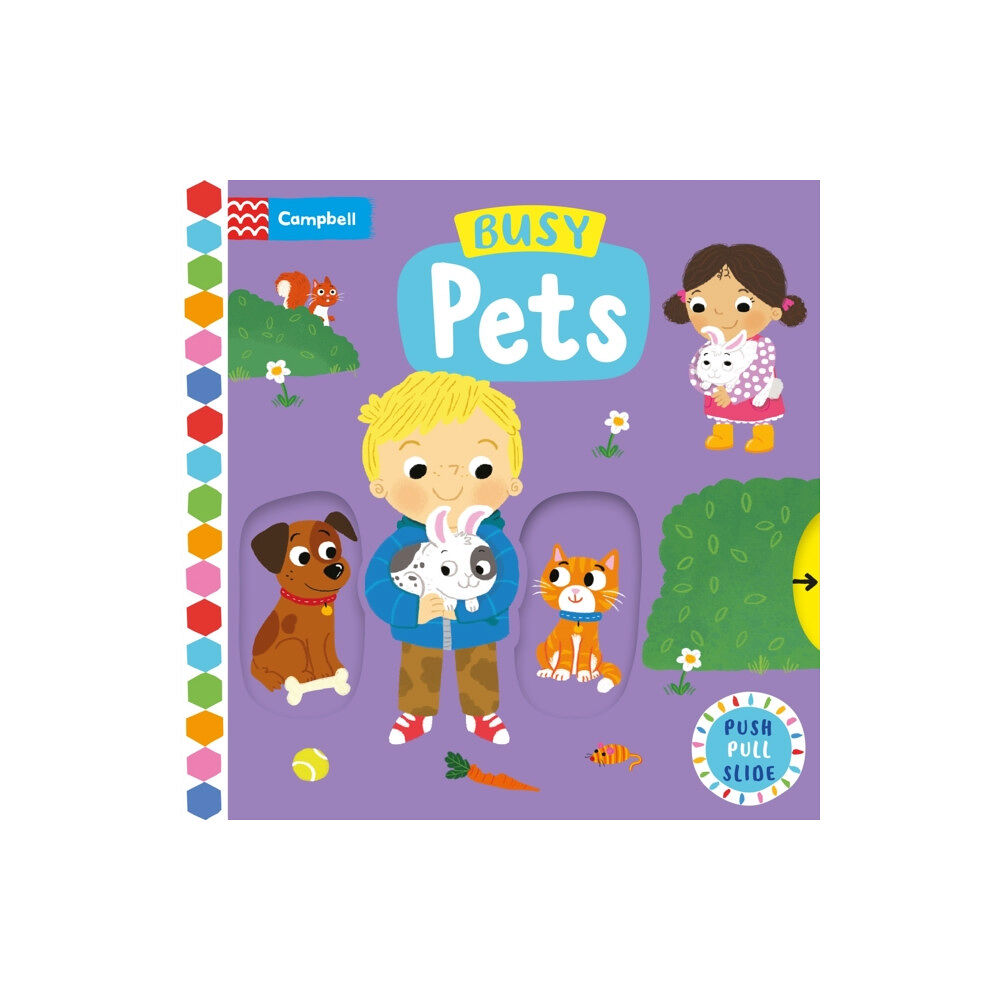 Pan Macmillan Busy Pets (bok, board book, eng)