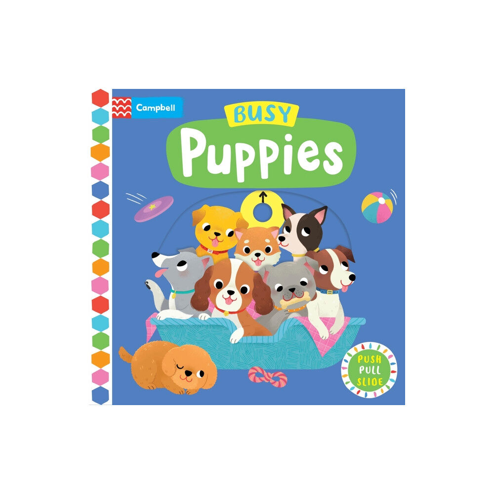 Pan Macmillan Busy Puppies (bok, board book, eng)