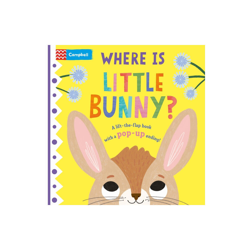 Pan Macmillan Where is Little Bunny? (bok, board book, eng)