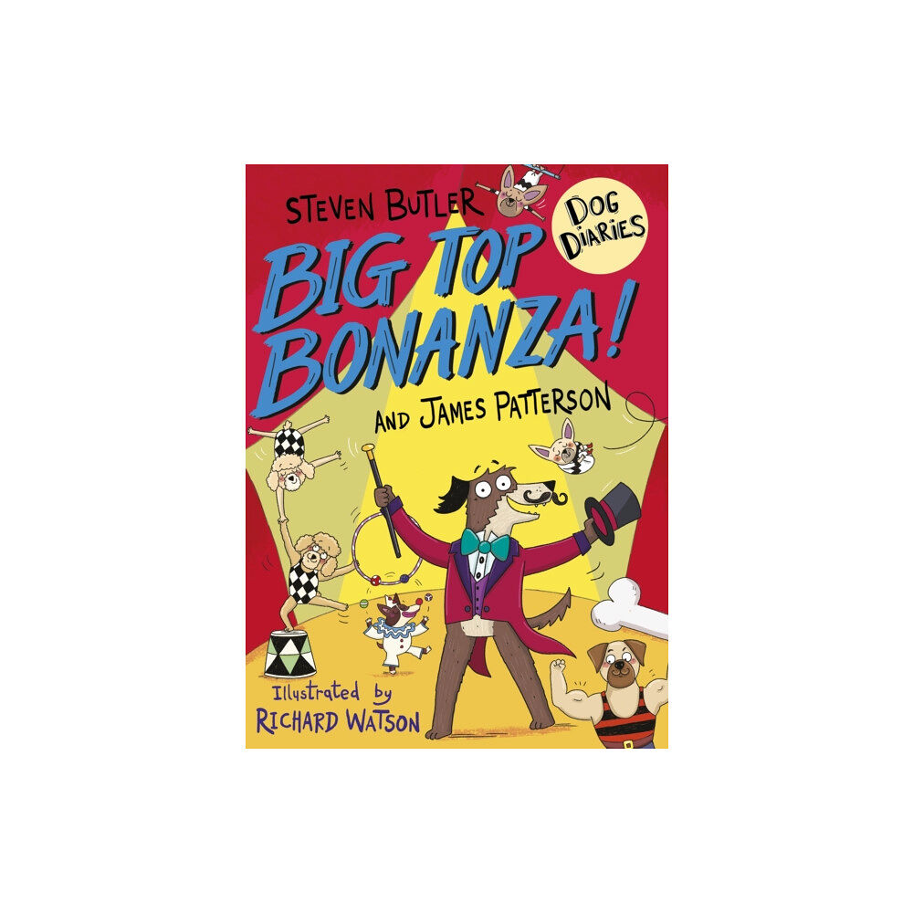 Cornerstone Dog Diaries: Big Top Bonanza! (häftad, eng)