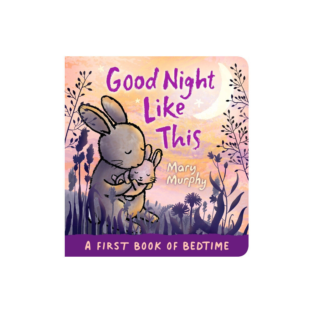 Walker Books Ltd Good Night Like This (bok, board book, eng)