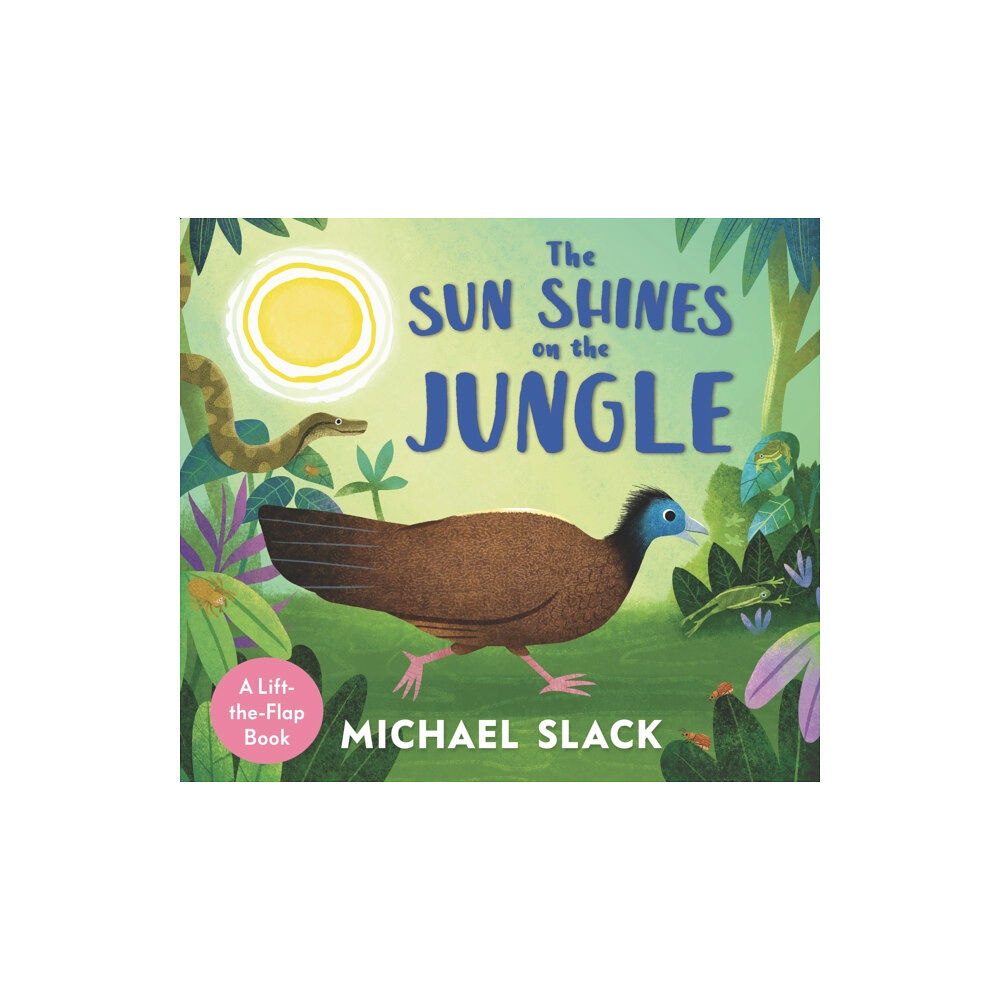 Walker Books Ltd The Sun Shines on the Jungle (bok, board book, eng)