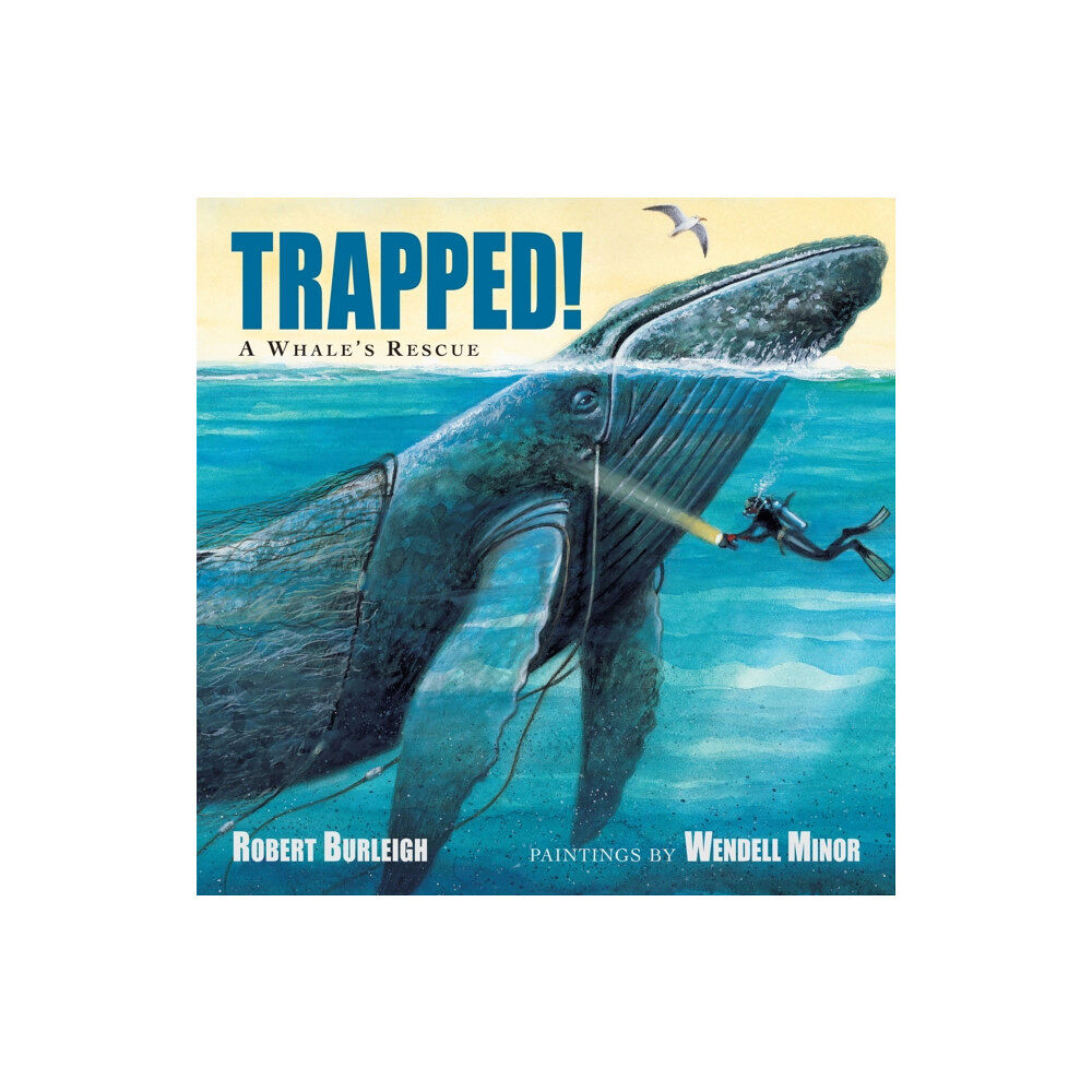 Charlesbridge Publishing,U.S. Trapped! A Whale's Rescue (inbunden, eng)