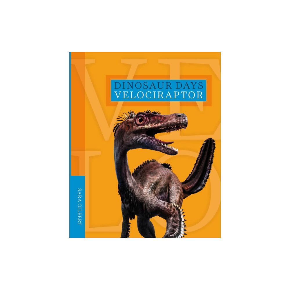 Creative Company,US Dinosaur Days: Velociraptor (häftad, eng)