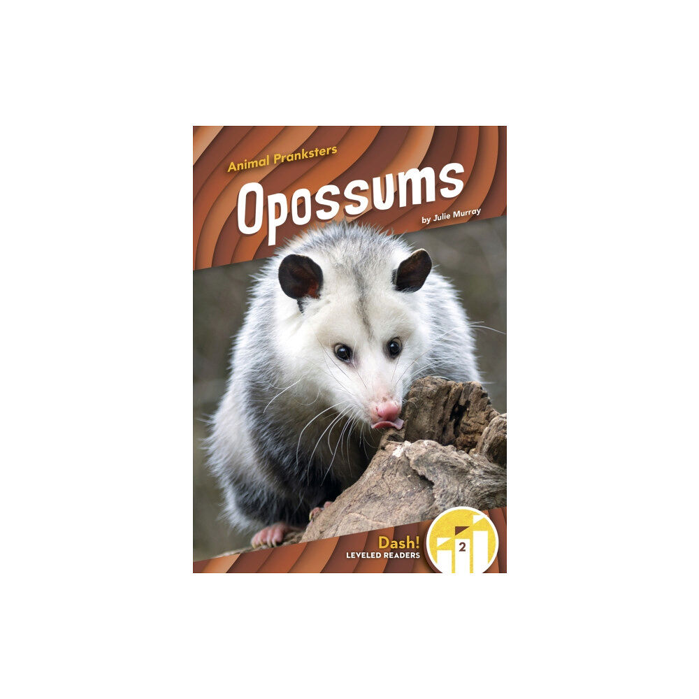 North Star Editions Animal Pranksters: Oppossums (häftad, eng)