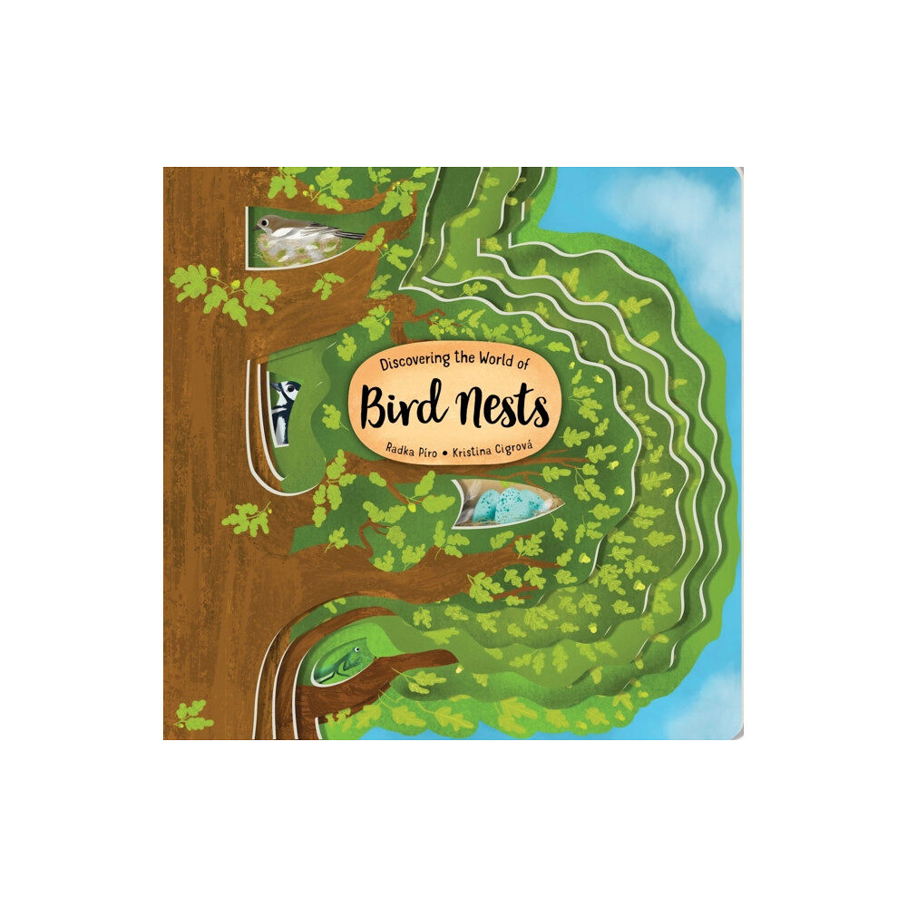 Fox Chapel Publishing Discovering the World of Bird Nests (bok, board book, eng)