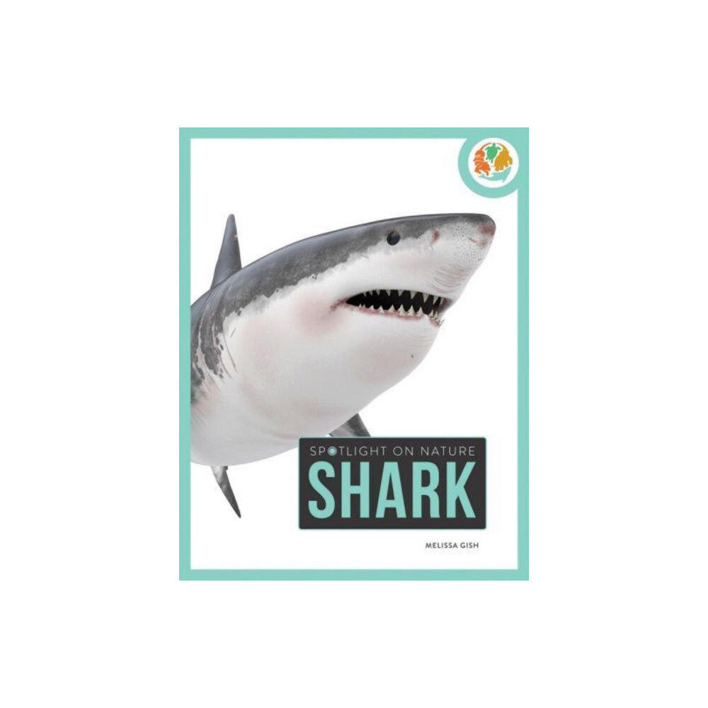 Creative Company,US Spotlight on Nature: Shark (häftad, eng)