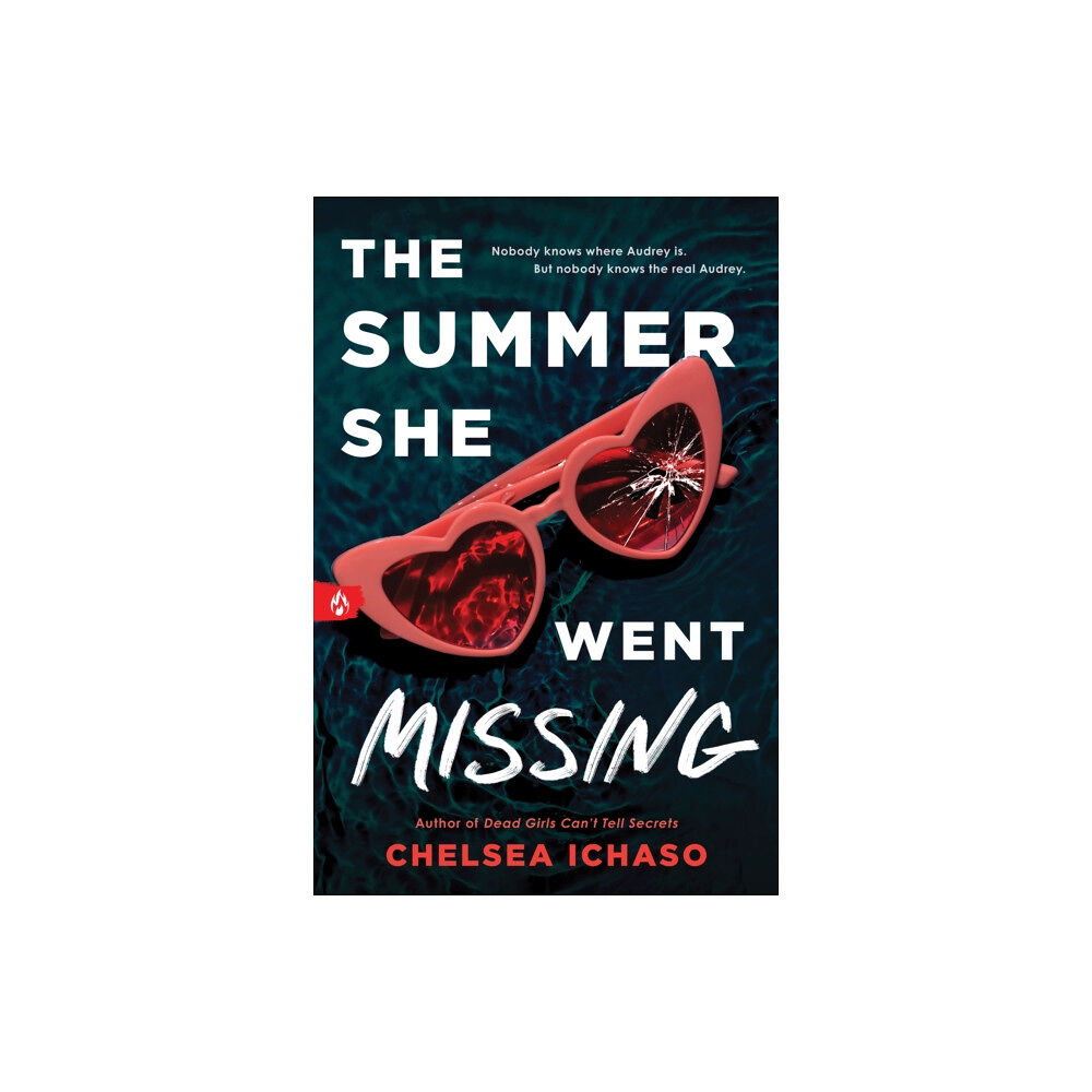 Sourcebooks, Inc The Summer She Went Missing (häftad, eng)