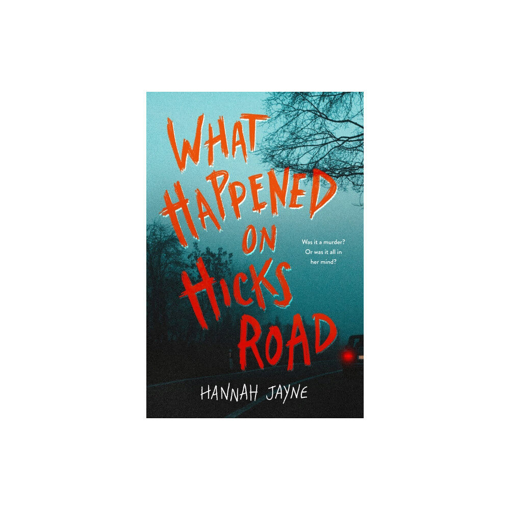 Sourcebooks, Inc What Happened on Hicks Road (häftad, eng)