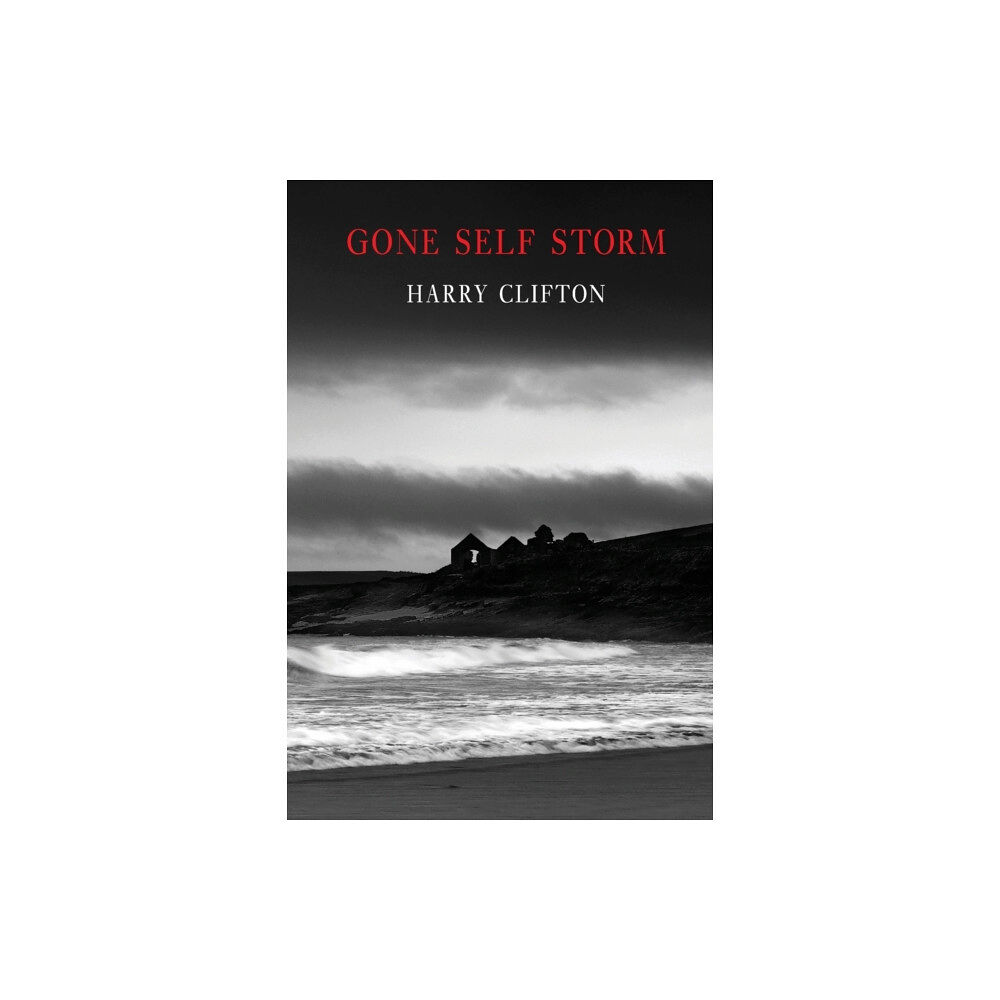 Bloodaxe Books Ltd Gone Self Storm (häftad, eng)