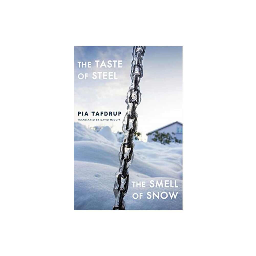 Bloodaxe Books Ltd The Taste of Steel * The Smell of Snow (häftad, eng)