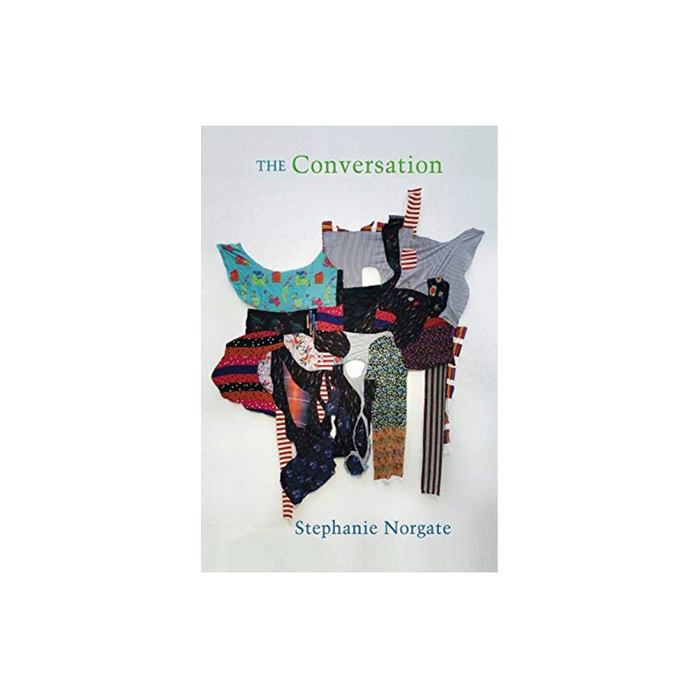 Bloodaxe Books Ltd The Conversation (häftad, eng)