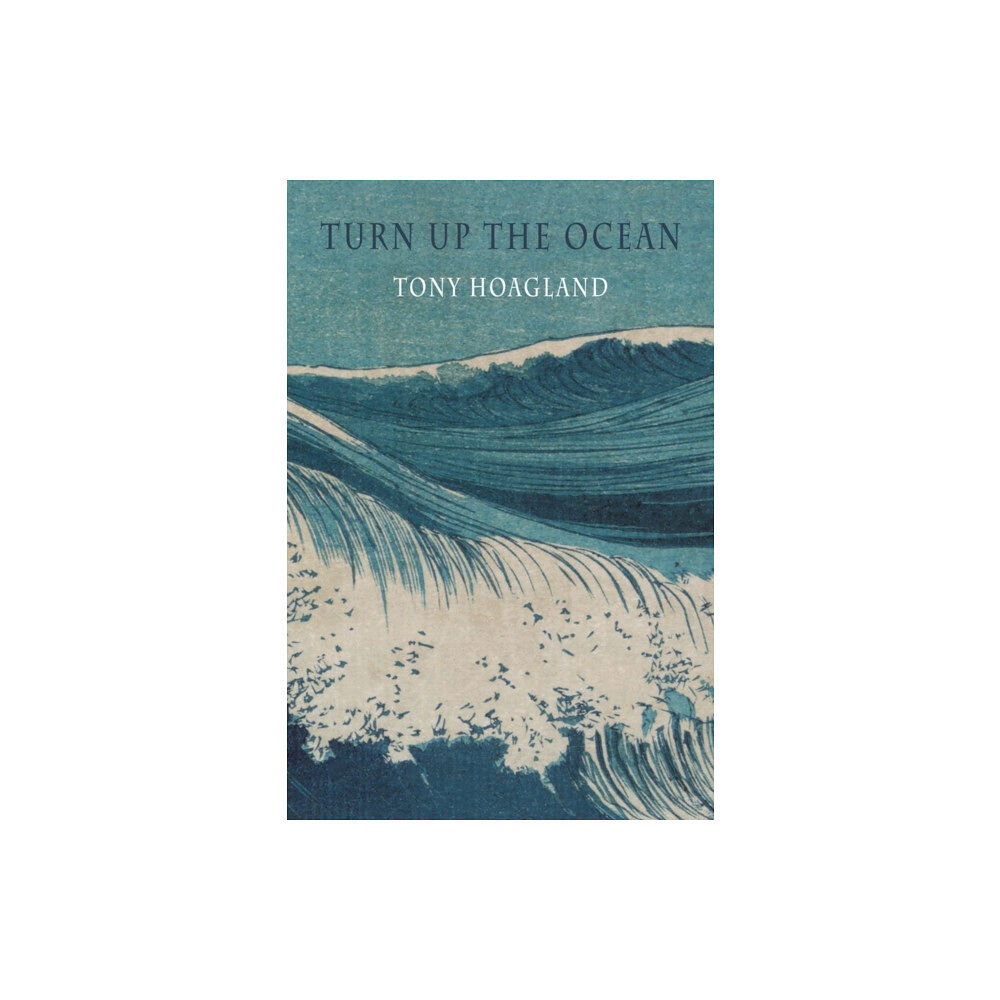 Bloodaxe Books Ltd Turn Up the Ocean (häftad, eng)