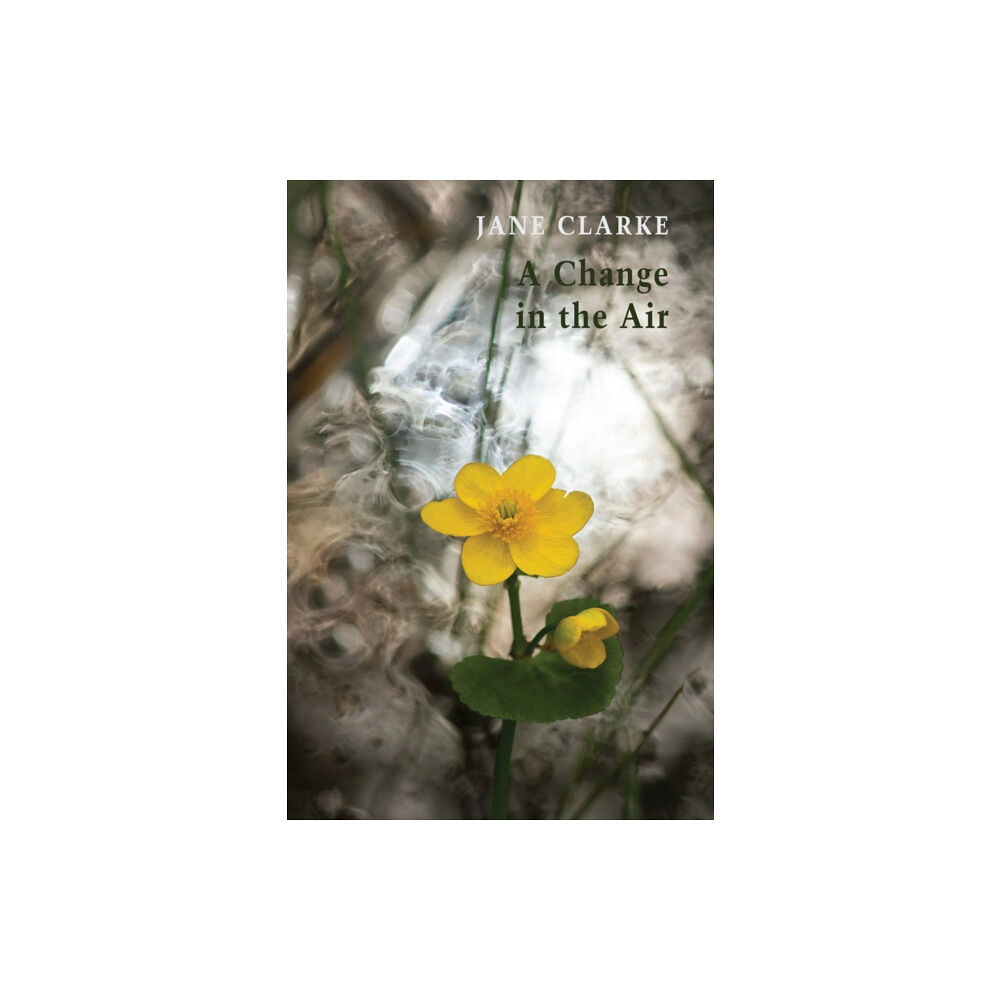 Bloodaxe Books Ltd A Change in the Air (häftad, eng)