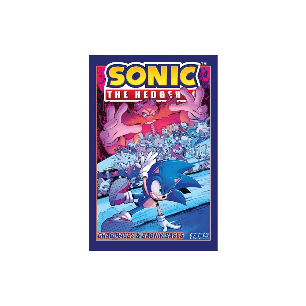 Idea & Design Works Sonic The Hedgehog, Vol. 9: Chao Races & Badnik Bases (häftad, eng)