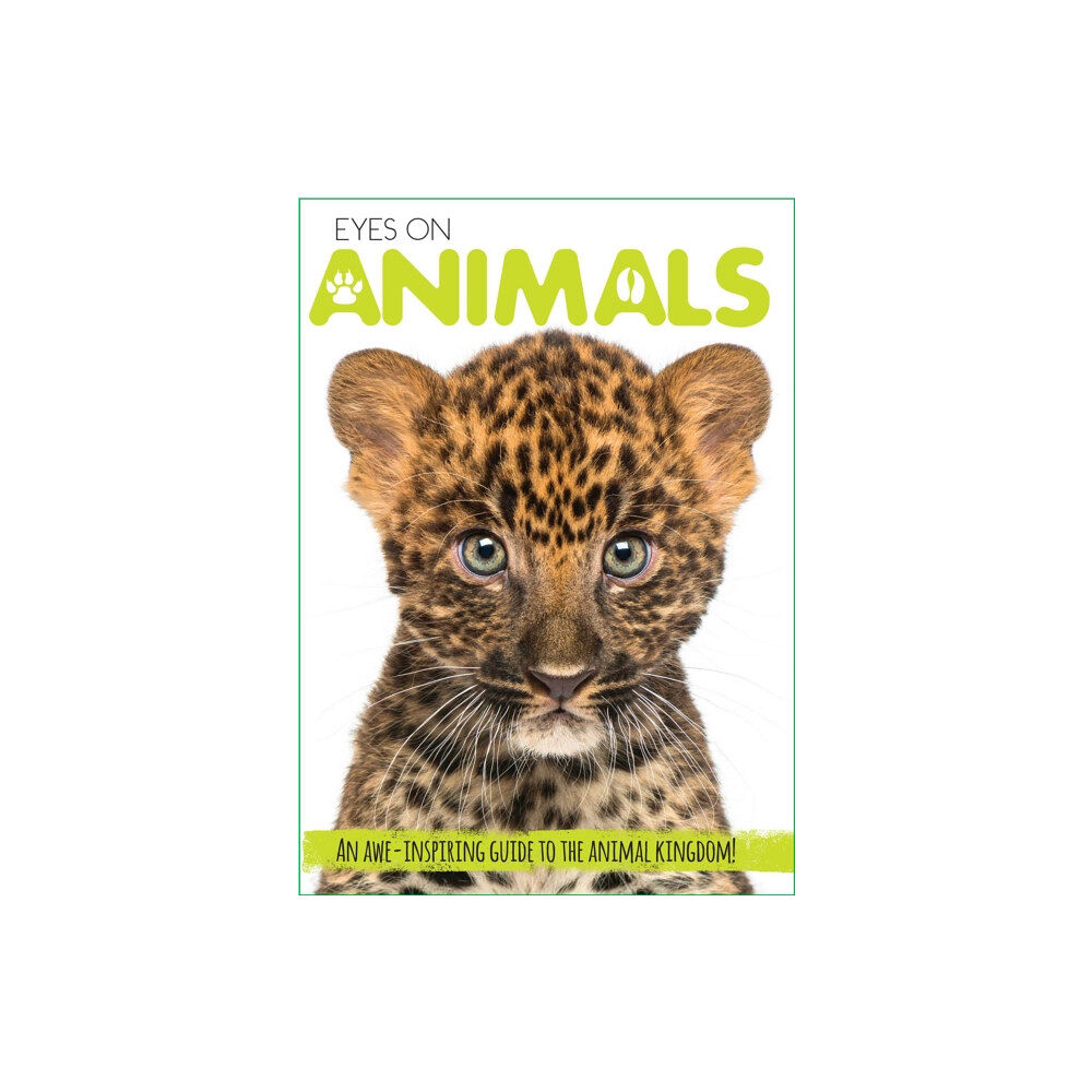 Silver Dolphin Books Eyes On Animals (inbunden, eng)