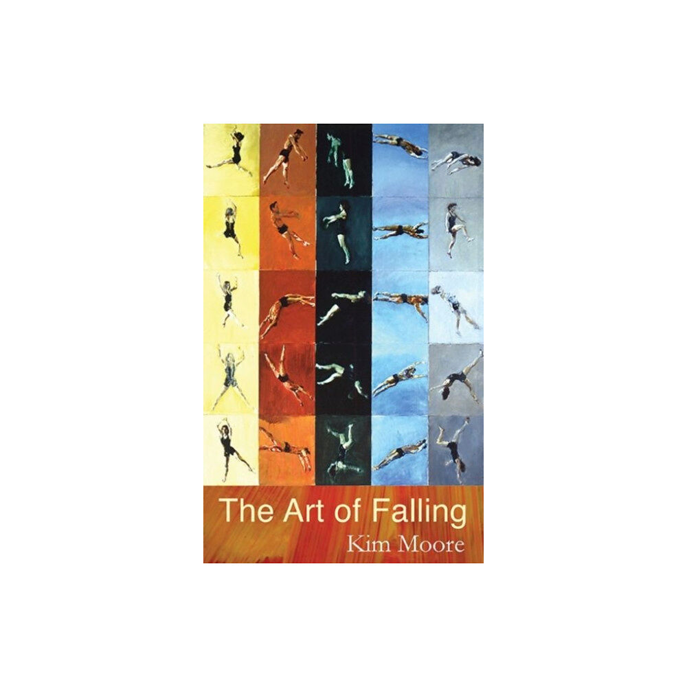 Poetry Wales Press The Art of Falling (häftad, eng)