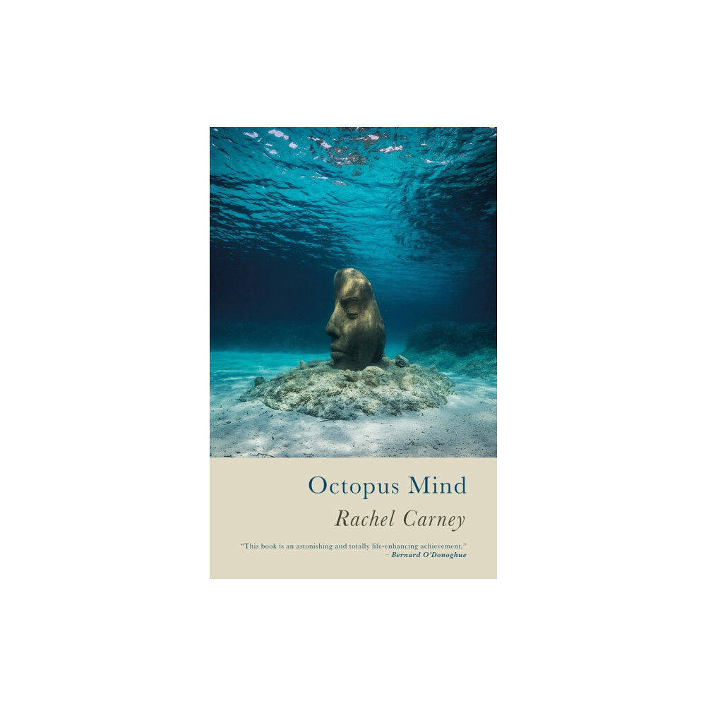 Poetry Wales Press Octopus Mind (häftad, eng)