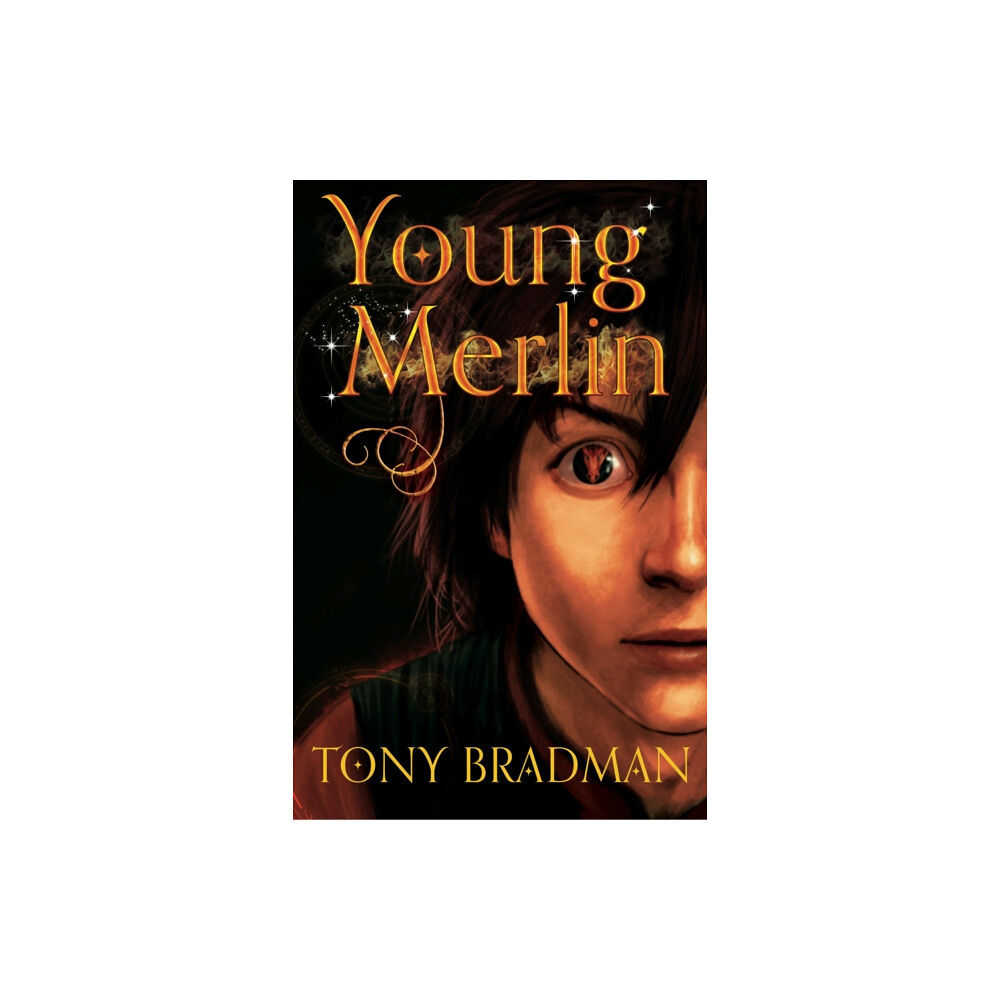 HarperCollins Publishers Young Merlin (häftad, eng)