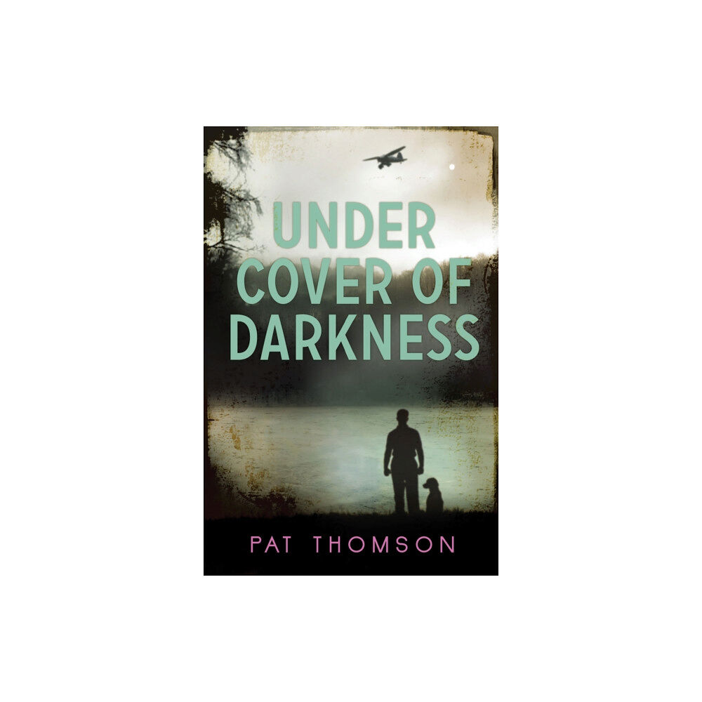 HarperCollins Publishers Under Cover of Darkness (häftad, eng)