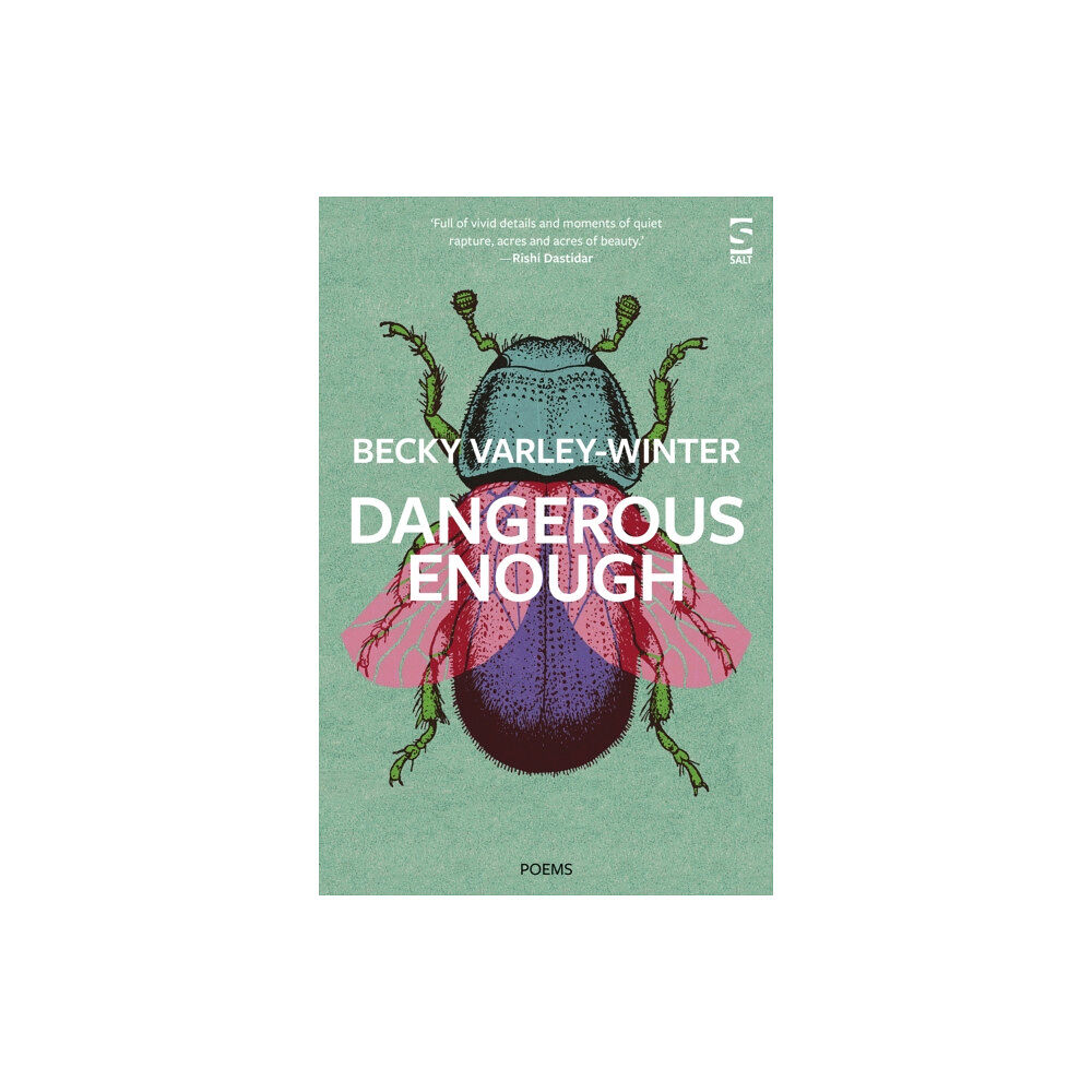 Salt Publishing Dangerous Enough (häftad, eng)