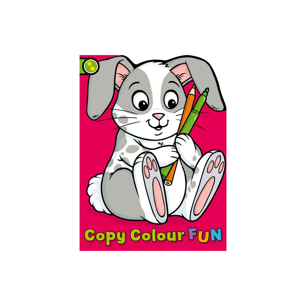 Award Publications Ltd Copy Colour Fun: Rabbit (häftad, eng)