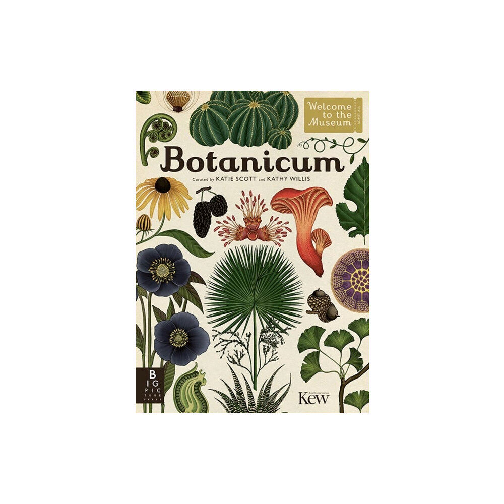 Templar Publishing Botanicum (inbunden, eng)