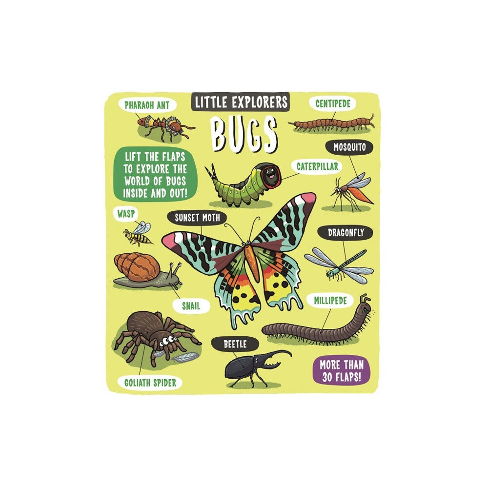 Templar Publishing Little Explorers: Bugs (bok, board book, eng)