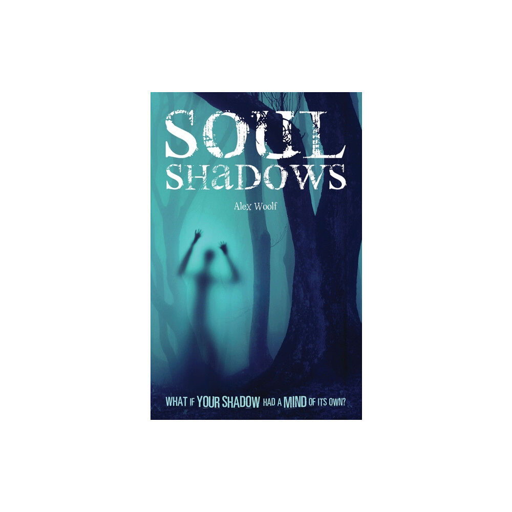 Curious Fox Soul Shadows (häftad, eng)