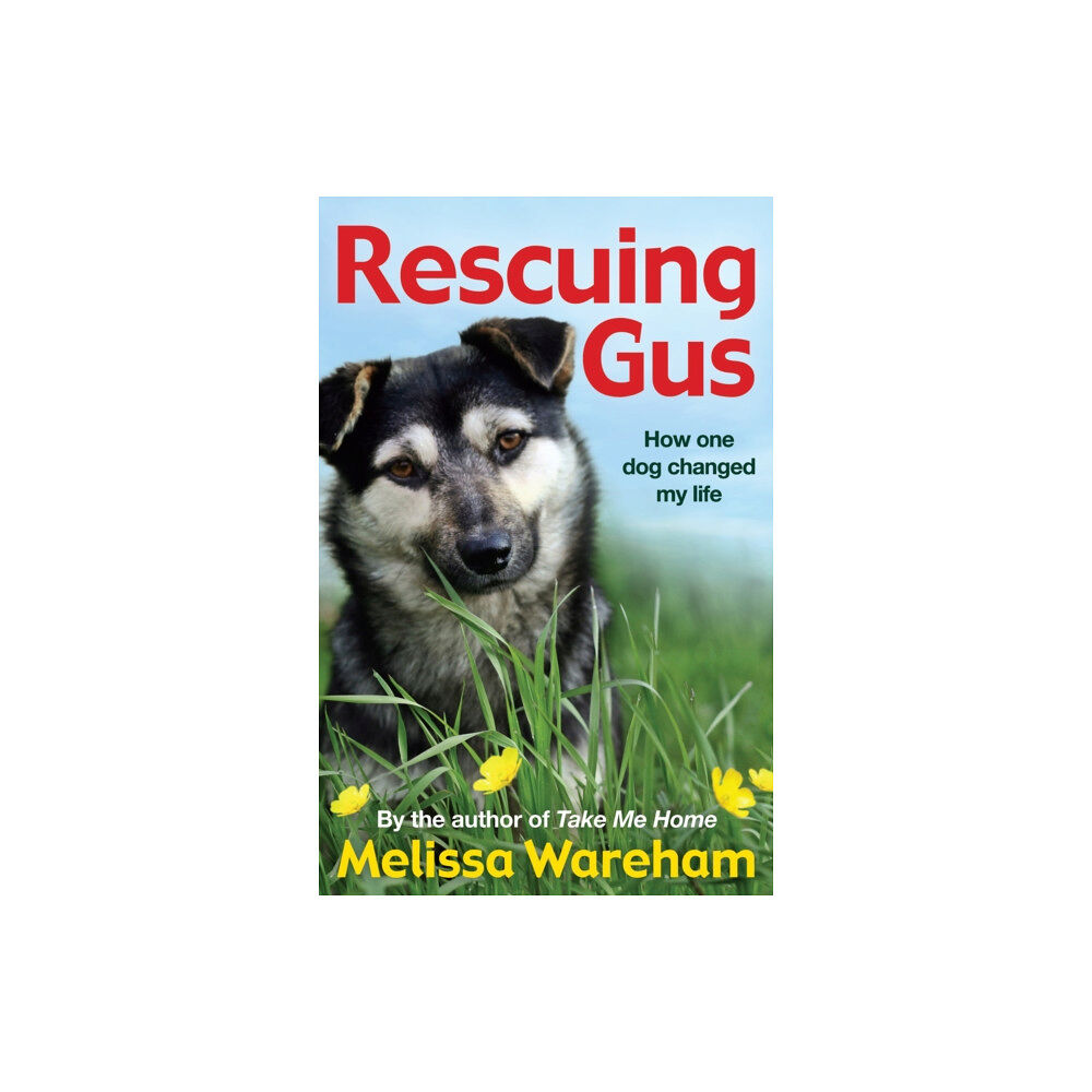 Penguin Random House Children's UK Rescuing Gus (häftad, eng)