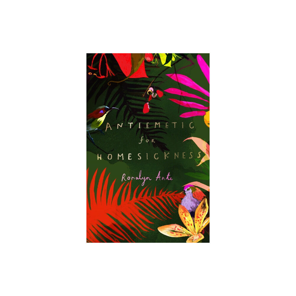 Vintage Publishing Antiemetic for Homesickness (häftad, eng)