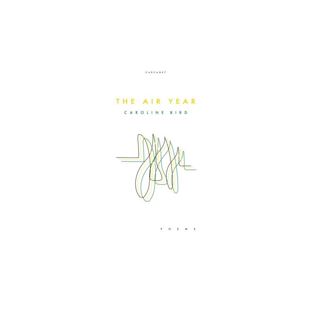 Carcanet Press Ltd The Air Year (häftad, eng)