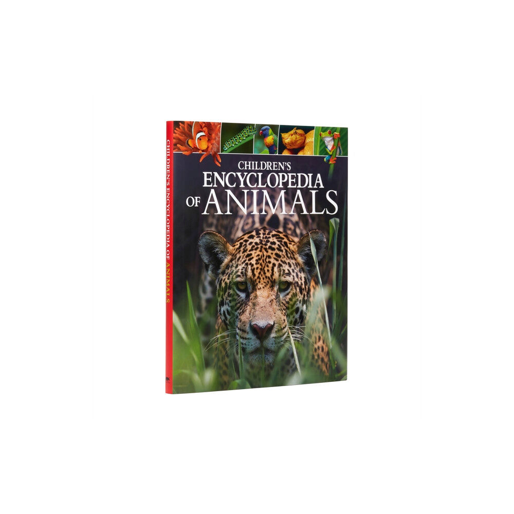 Arcturus publishing ltd Children's Encyclopedia of Animals (inbunden, eng)