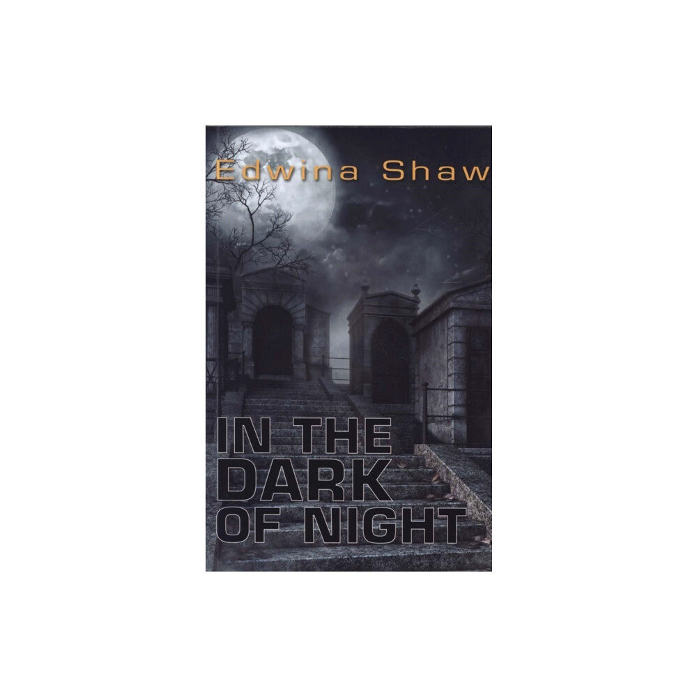 Ransom Publishing In the Dark of Night (häftad, eng)