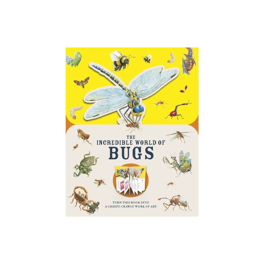 Hachette Children's Group Paperscapes: The Incredible World of Bugs (inbunden, eng)