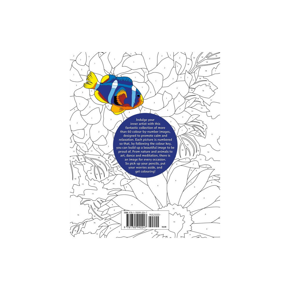 Arcturus publishing ltd Calm Colour by Numbers (häftad, eng)