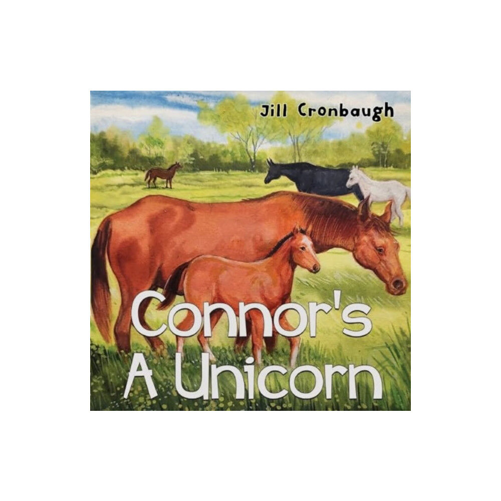 Pegasus Elliot Mackenzie Publishers Connor's A Unicorn (häftad, eng)