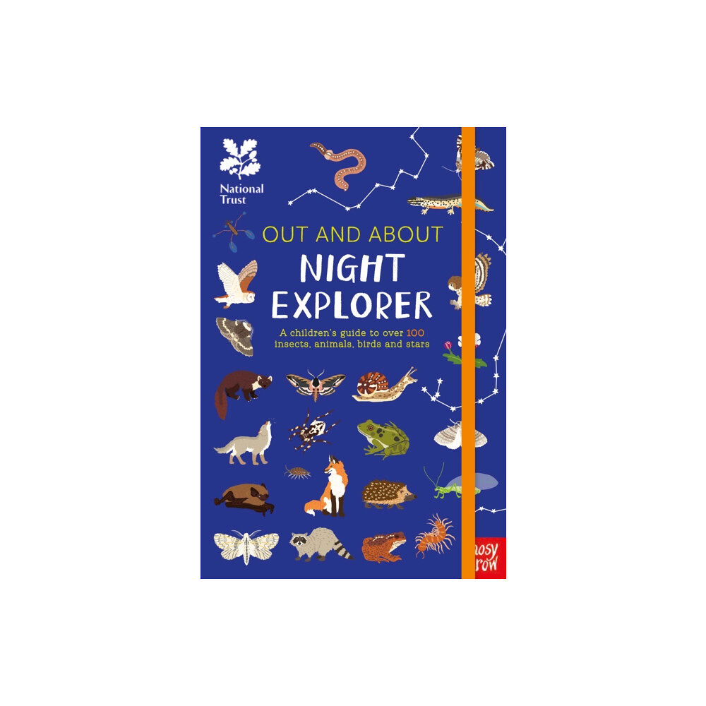Nosy Crow Ltd National Trust: Out and About Night Explorer (inbunden, eng)