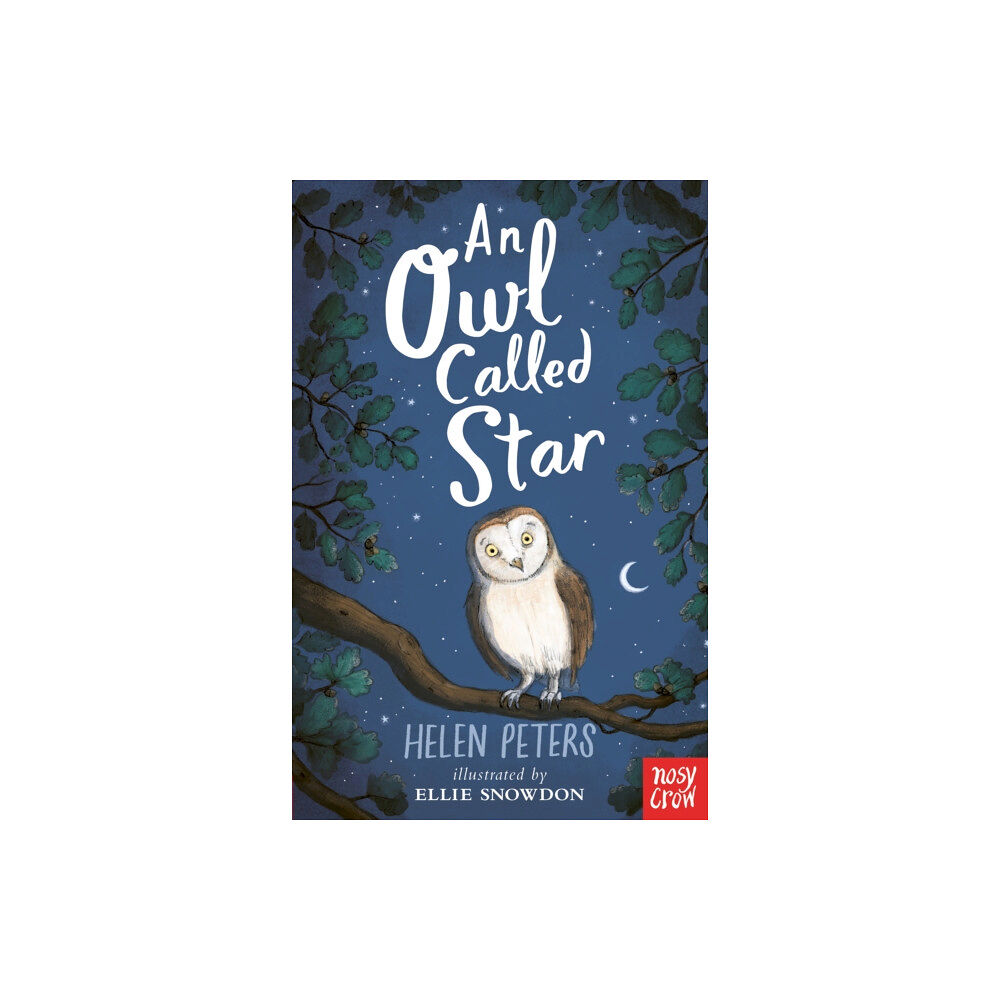 Nosy Crow Ltd An Owl Called Star (häftad, eng)