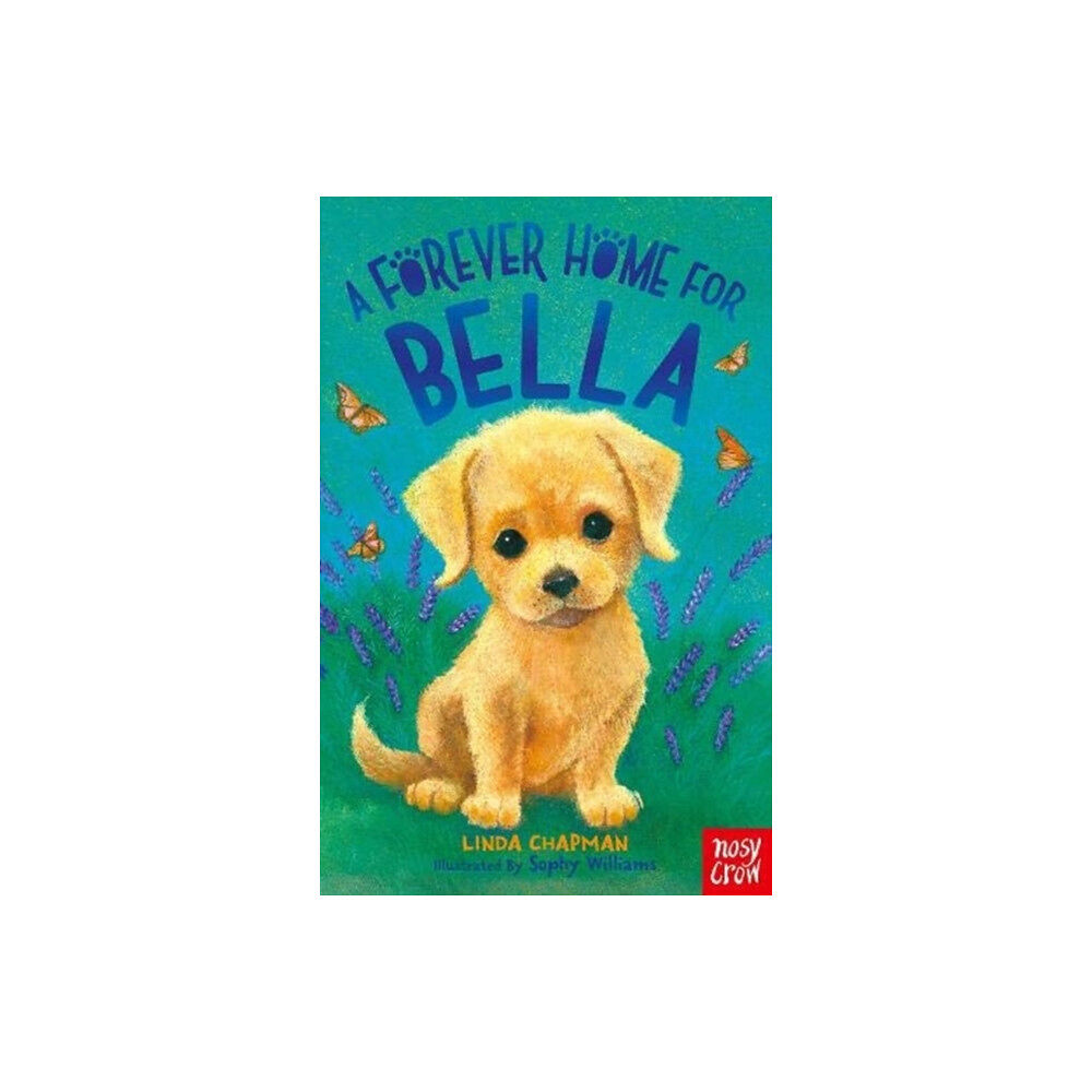 Nosy Crow Ltd A Forever Home for Bella (häftad, eng)