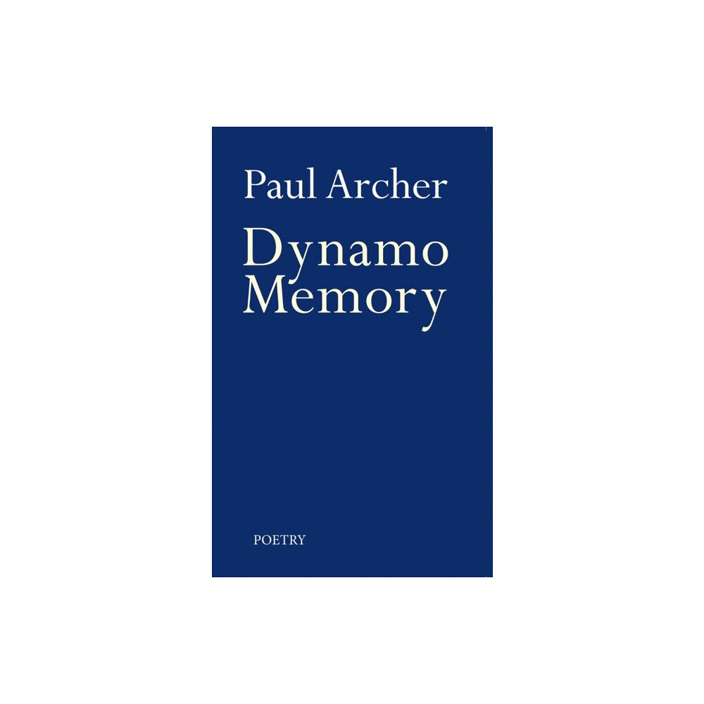 Troubador Publishing Dynamo Memory (häftad, eng)