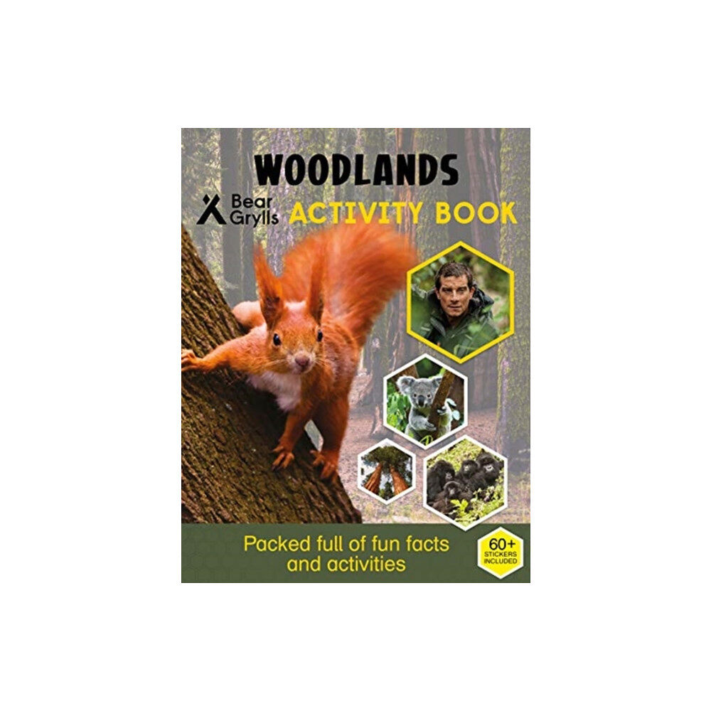 Bonnier Zaffre Bear Grylls Sticker Activity: Woodlands (häftad, eng)