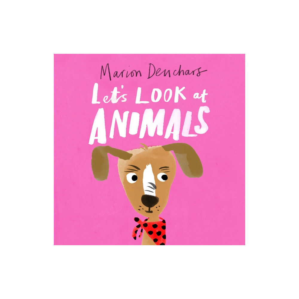 Hachette Children's Group Let's Look at... Animals (bok, board book, eng)