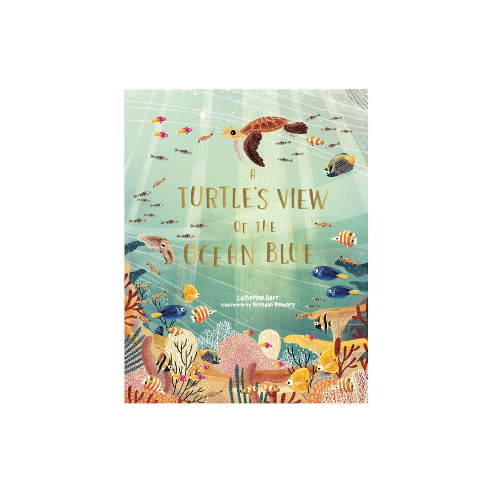 Hachette Children's Group A Turtle's View of the Ocean Blue (inbunden, eng)