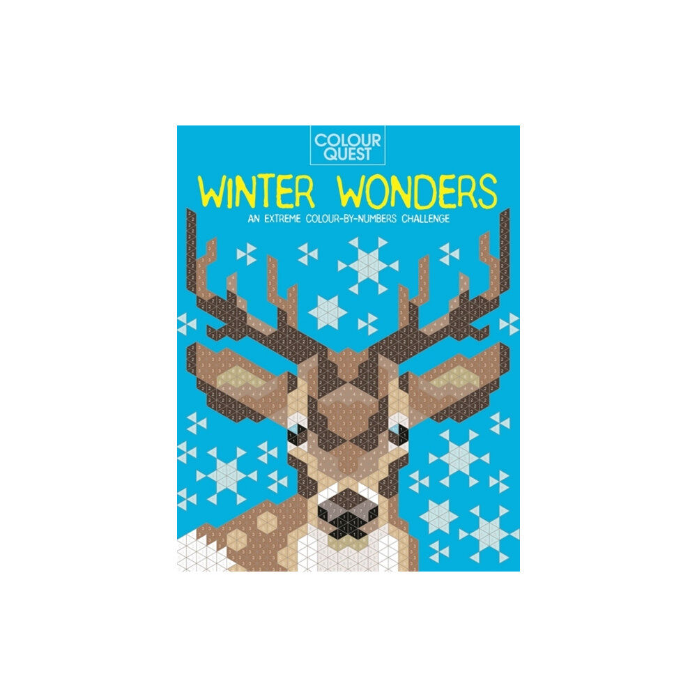 Michael O'Mara Books Ltd Colour Quest®: Winter Wonders (häftad, eng)