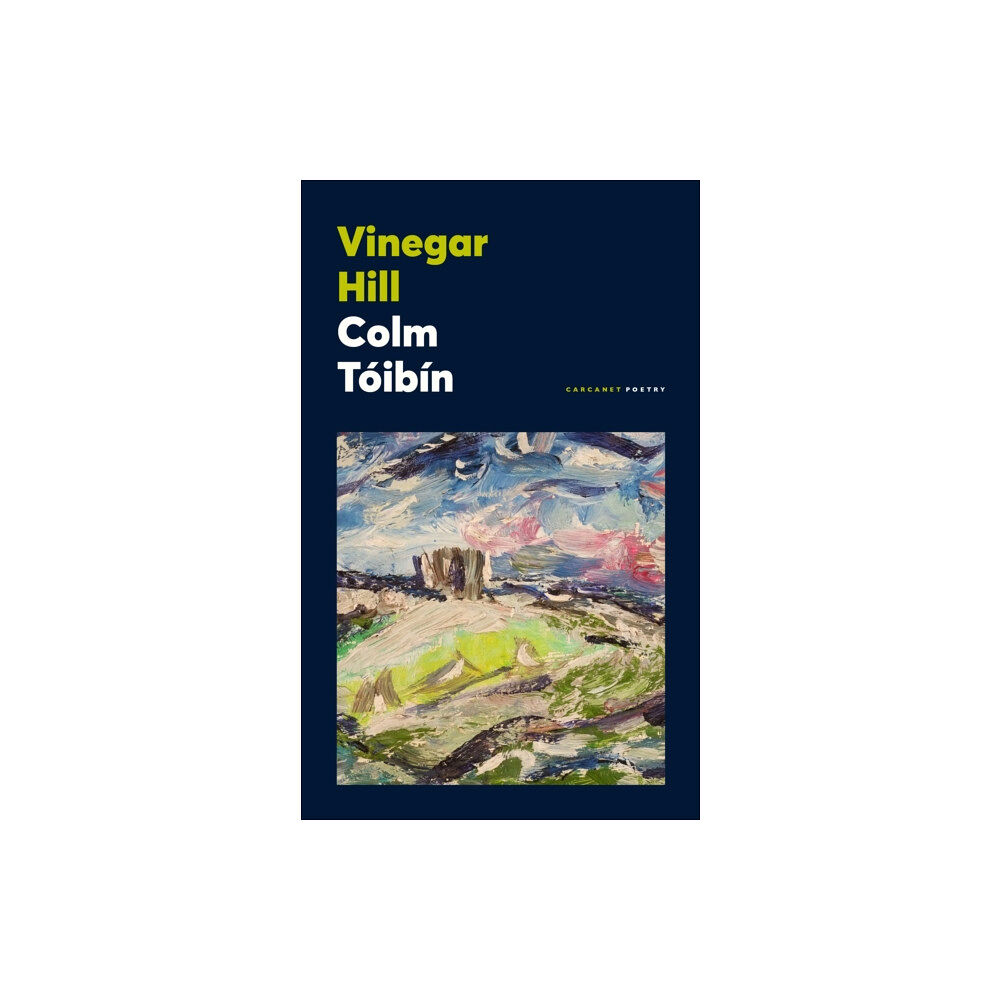 Carcanet Press Ltd Vinegar Hill (häftad, eng)