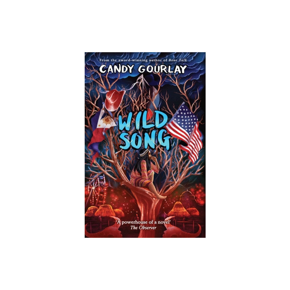 David Fickling Books Wild Song (häftad, eng)